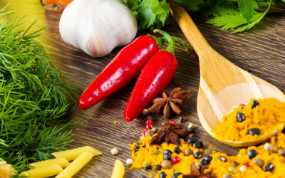 Cuisine éthique et gourmande pour un avenir durable