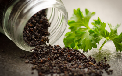 Comment la cuisine éthique révolutionne nos assiettes quotidiennes